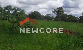 Imagem 3: Fazenda em Área Rural - Área Rural de Uberlândia - Uberlândia/MG