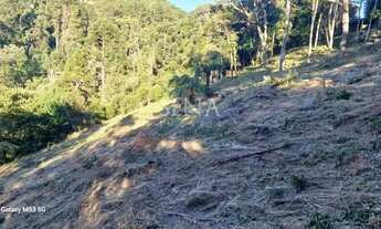 Imagem 5: Terreno / Venda Terreno / lote com venda por R$350.000