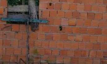 Imagem 5: Vende-se terreno