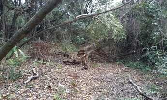 Imagem 5: Terreno Padrão em Bauru