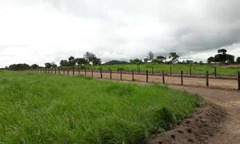 Imagem: 11 alqueiros em Mozarlândia