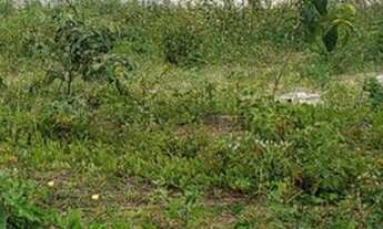 Imagem: Terreno 5x22 por 29 mil na Vaquejada com