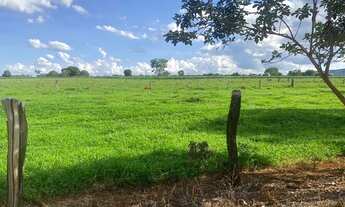 Imagem 2: Sítio de 5 alqueires em Iporá Goiás