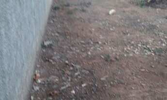 Imagem 7: Lote com 460 m Terreno / lote com venda por R$43.000