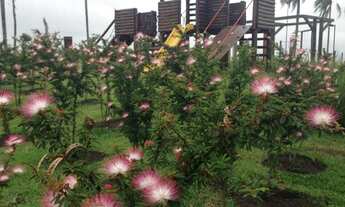 Imagem 4: Terreno-em-Condominio-para-Venda-em-Aldeia-da-Serra-Santana-de-Parnaiba-SP