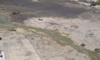 Imagem: AREA - BUTANTÃ - SP