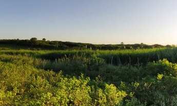 Imagem 2: Fazenda Lázaro 190 Hectares