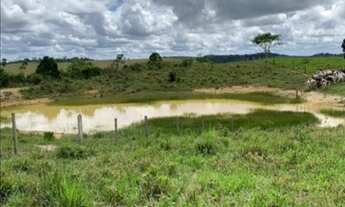 Imagem 7: Excelente Fazenda Próximo a Mundo Novo