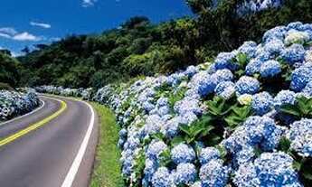 Imagem 6: Canela - Apartamento Padrão - Centro