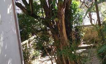 Imagem 2: CASA TÉRREA - MOEMA ÍNDIOS - SP