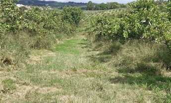 Imagem 7: SÍTIO - MACUCO - SP