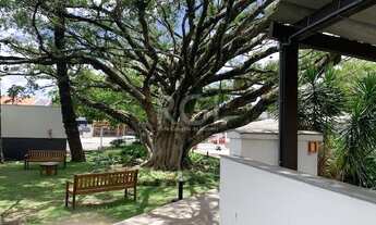 Imagem: Porto Alegre - Apartamento Padrão - Camaquã