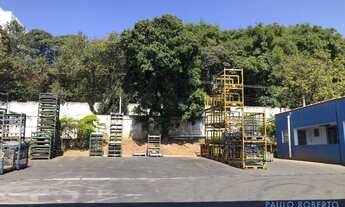 Imagem 7: GALPÃO - TABOÃO - SP