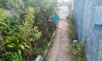 Imagem: Casa em pau amarelo