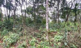 Imagem 3: Lote Itatiaiuçu - 420M²