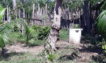 Imagem 2: Chácara Chácara com venda por R$100.000