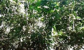 Imagem 4: Vendo Chácara 10.000 m2 na Zona Urbana de Dourados-Ms