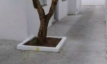 Imagem 3: AREA - PERDIZES - SP