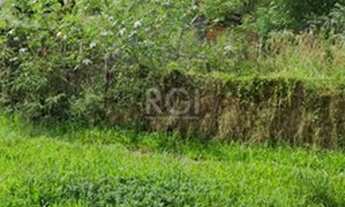 Imagem 3: Porto Alegre - Terreno Padrão - Cristal