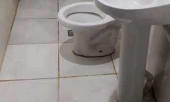 Imagem 6: Casa na Qd. 22 Buritis IV