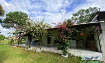 Imagem 5: Sítio dos seus sonhos em Águas Claras, com casa e diversas frutíferas