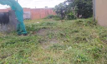 Imagem 4: Terreno Rua Padre Roma