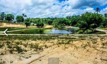 Imagem 2: Terreno prox Praia Mangue Seco