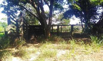 Imagem 5: Sitio 7.5 alqueires com 5.5 em cana, bem arrendado- no asfalto, completo valor 2.250.000