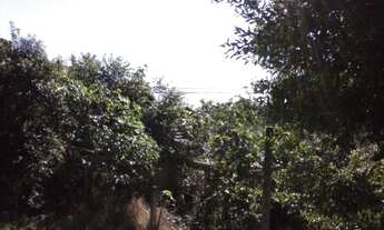 Imagem: Porto Alegre - Terreno Padrão - Santa Tereza