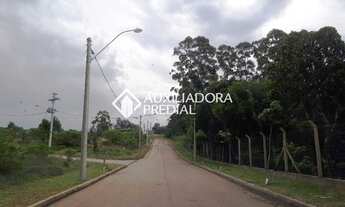 Imagem 2: PORTO ALEGRE - Terreno Padrão - Vila Nova