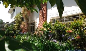 Imagem: CASA TÉRREA - ALTO DE PINHEIROS - SP