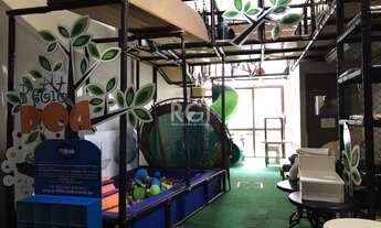 Imagem 6: Casa 4 dormitórios no bairro Jardim Botanico