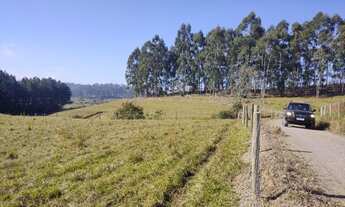 Imagem 5: Sítio com 9 hectares na localidade de Ribeirão Vitória - Braço do Trombudo - SC