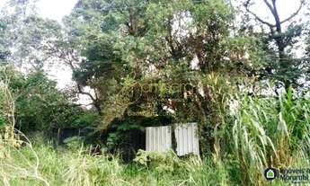 Imagem 3: Terreno em ótima localização. Confira!