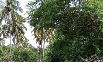 Imagem 5: Terreno em Lucena