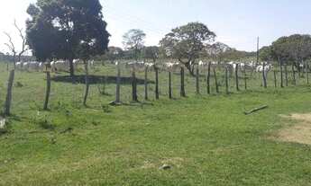 Imagem 6: Excelente Fazenda Próximo a Mundo Novo