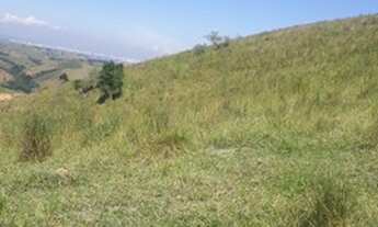 Imagem 3: 1 alqueires de terra