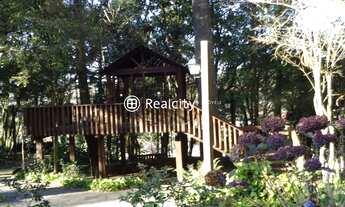 Imagem 7: BENTO GONçALVES - Terreno Padrão - Vale dos Vinhedos