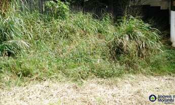 Imagem 2: Terreno em ótima localização. Confira!