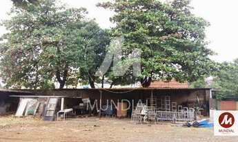 Imagem 6: Salão/Galpão (salão - térreo