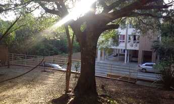 Imagem 7: Porto Alegre - Apartamento Padrão - Ipanema