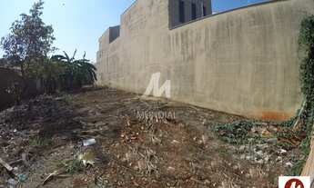 Imagem 3: Terreno (terreno normal