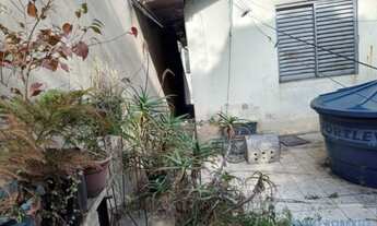 Imagem 6: TERRENO - BUTANTÃ - SP