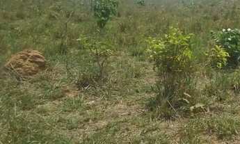 Imagem 6: Fazenda c/ 4.767he, área aberta degradada, possui autorização, terra boa, Caceres-MT