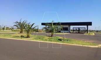 Imagem 3: Araçatuba - Lote/Terreno - Aeroporto