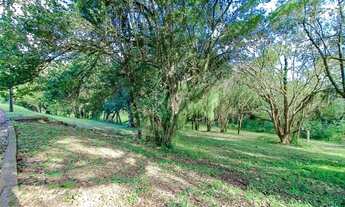 Imagem 6: Terreno para Venda - 0m², 0 dormitórios, Vila Morada Gaúcha