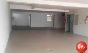 Imagem 4: São Paulo - Prédio Inteiro - Lapa