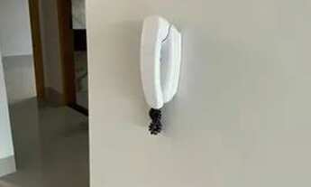 Imagem 7: Aparecida de Goiânia - Casa Padrão - Jardim Olímpico