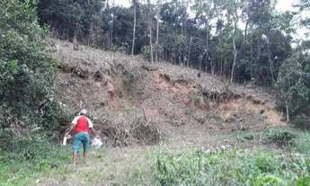 Imagem 3: Terreno em Adrianópolis