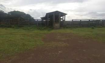 Imagem 5: FAZENDA DUPLA APTIDÃO A VENDA PEDRO AFONSO TO